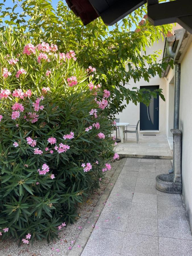 Petite Maison Pres Du Centre Л'Иль-сюр-ла-Сорг Экстерьер фото